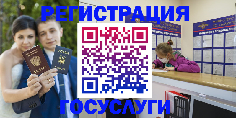 прописка поиск в Тереке